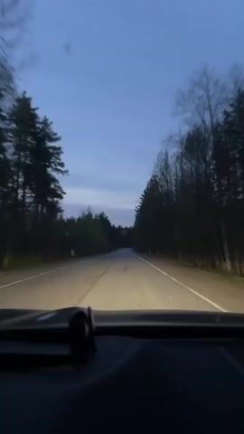 A dashboard-level view shows a car driving down a two-lane road lined with trees at dusk or dawn. The sky is a faded blue. The car's headlights illuminate the road ahead, revealing painted lines and a slightly curved path. The interior of the car is dark, and a small object is visible on the dashboard.