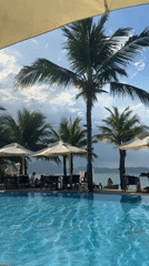 Morning poolside scene at tropical resort captured by witness