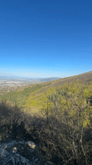 Tourist captures scenic views and selfie in Sofia