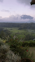 Terraced rice paddies documented near Rendang, Indonesia