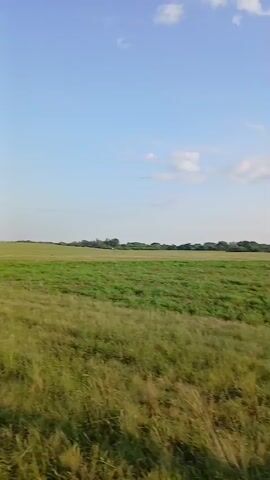A video shows a dirt road running through a field of tall green grass. The sky is blue with some clouds. There are telephone poles with wires running along the road. The sun is visible in the sky, and it appears to be setting or rising. The camera is moving, and the video is shaky.