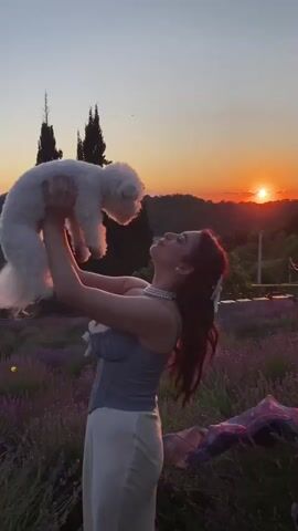 The media file shows a young woman holding a small white dog up in the air against a sunset. The woman is wearing a light blue corset-style top with a white skirt and a pearl necklace. Her hair is long and dark, with a white ribbon tied in it. The dog appears to be a Bichon Frise.

They are in a field of lavender, with rows of purple flowers stretching out behind them. In the background, there are trees and rolling hills. The sun is setting on the horizon, casting a warm orange glow over the scene. The sky is a gradient of orange, pink, and purple. The overall mood is romantic and serene.

The location is identified as Verkhneye Uchdere, Russia. The time of day is clearly sunset, and the weather appears to be clear and calm, ideal for an outdoor activity. There is no visible text in the media file. The woman's facial expression suggests happiness and joy as she interacts with her dog.