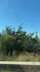 Morning coastal drive documented in Kamenovo, Montenegro