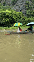 Boats and wading birds along a calm Vietnamese waterway