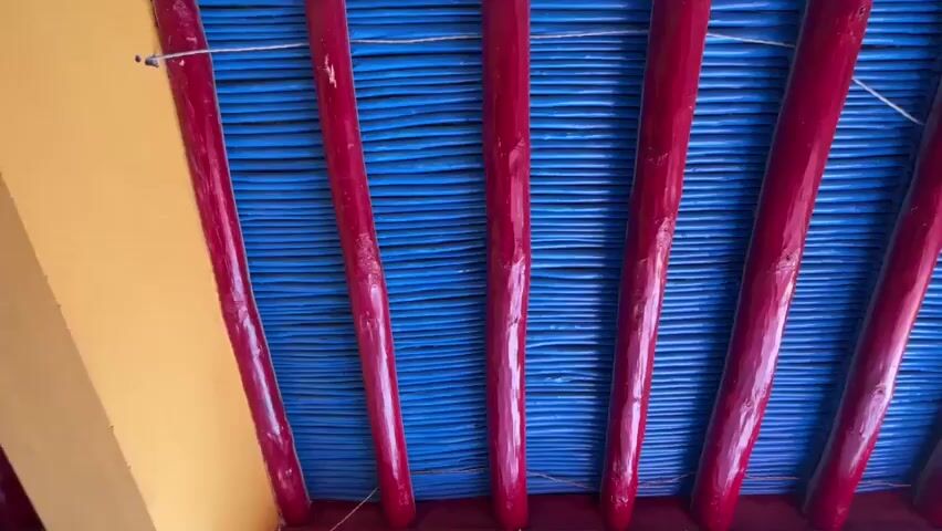 The video shows a close-up view of the ceiling of a structure, likely a yurt or similar dwelling. The ceiling consists of numerous parallel, horizontal blue slats, which appear to be made of wood or a similar material. These blue slats are supported by several vertical, bright red wooden poles. The poles are irregularly shaped, suggesting they are natural branches or roughly hewn logs. They are evenly spaced and extend from the floor upwards to the ceiling. Some thin white strings or wires are visible, connecting some of the poles to the blue slats, possibly for structural support or decoration. The overall impression is of a rustic yet colorful interior. The lighting is consistent, suggesting an indoor setting with no direct sunlight. The camera is moving slowly, panning across the ceiling from left to right. No people or other objects are visible in the frame. The colors are vivid, with the red poles and blue slats creating a strong contrast.