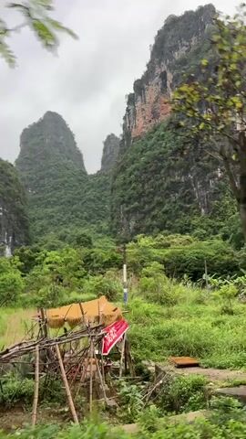 The camera is mounted on a vehicle moving on a road with the view of mountainous karst formations covered in lush greenery. The sky is overcast. In the initial shot, a rudimentary wooden structure sits in a field.  The camera then focuses on the towering mountains. Trees are visible on either side of the road. At one point, a silver car passes by on the road.