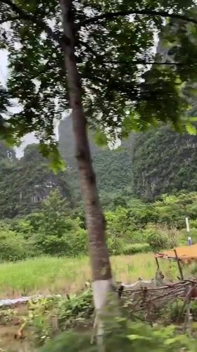 Cycling group explores lotus ponds amid Guilin's karst mountains