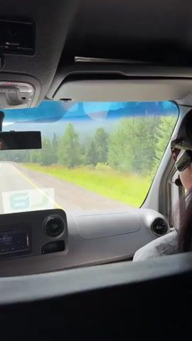 The video is taken from inside a vehicle, looking out the front windshield. The vehicle appears to be moving on a road, with a line of trees and a grassy area visible on the right side. In the distance, there are mountains covered in trees. Inside the vehicle, the dashboard and part of the steering wheel are visible. A person's head and shoulder are seen in the right side of the frame, wearing sunglasses and a headset. The person appears to be looking forward. There is a dashboard display showing "87.50". The overall impression is a road trip through a natural landscape.