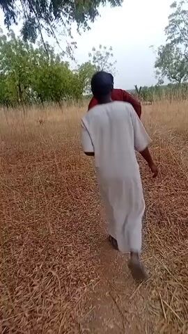 The video shows two people walking away from the camera through a dry, grassy landscape with scattered trees. The person in the front wears a long, light-colored garment, a black cap, and sandals, carrying a thin branch or stick. The second person, wearing a red shirt, follows closely behind. The ground is covered in dry grass and dirt. The camera moves, showing glimpses of trees and the open sky.