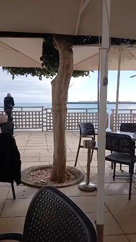 The video shows an outdoor seating area of a restaurant or cafe near the ocean. There are several tables and chairs under large white umbrellas, with a tree growing through a circular opening in the patio floor. 

In the background, the ocean is visible, with a boardwalk-style fence separating the seating area from the water. One person is standing at the fence looking at the water.

At one of the tables, three people are seated, appearing to be engaged in a conversation or reading menus. The scene is fairly casual and relaxed, with a focus on the outdoor setting and the ocean view.