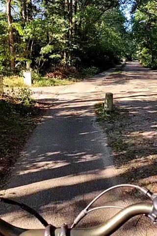 The video shows a first-person perspective of someone riding a bicycle on a dirt road through a forest. The road is unpaved and appears somewhat rough, with scattered debris and shadows from the trees overhead. The cyclist's handlebars are partially visible in the foreground. The trees on either side of the road are dense and green, indicating a natural, wooded environment. The sunlight filters through the leaves, creating a dappled pattern of light and shadow on the road. The overall impression is one of a leisurely ride through a peaceful, natural setting.