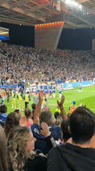Evening soccer match draws packed crowd at Porto's Estádio do Dragão