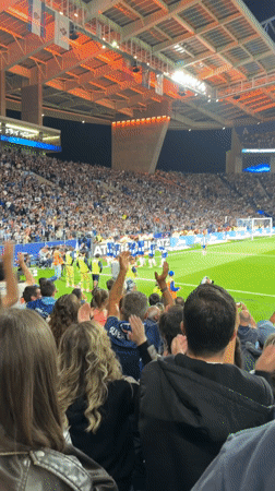 Evening soccer match draws packed crowd at Porto's Estádio do Dragão
