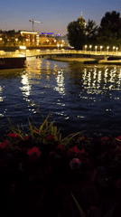 Lit bridge and reflections on water, framed by night blooms