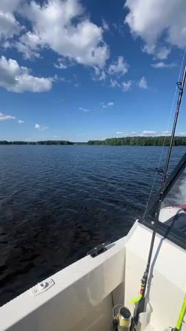 A first-person perspective shot from a boat sailing on a dark, rippling lake under a bright blue sky with scattered white clouds. The sun is shining intensely, creating a glare on the water. In the distance, a tree-lined shore is visible, forming a dark green horizon. The front of the boat, made of white fiberglass and diamond-plate metal, occupies the lower right corner of the frame. The boat appears to be moving forward, as indicated by the dynamic water patterns.