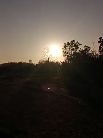 The video shows a rural landscape at sunset. The sun is low in the sky, casting long shadows across a tilled field. Silhouetted trees and vegetation form a dark backdrop against the glowing sky. There are no people visible in the frame, but a dark, indistinct shape, possibly an animal, can be seen in the field on the left side of the image. The overall mood is peaceful and serene, capturing the beauty of the natural world at dusk.
