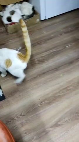 A white cat with ginger/brown patches is playing indoors on a wooden floor in what appears to be a home in Mospyne, Ukraine. The cat is batting at a yellow fluffy toy, which has some white fluff pulled out and scattered on a black mat. A white pot with a red strawberry design is visible in the background on the left. In the background on the right, another cat, mostly white with some brown or black markings, is sleeping inside a cardboard box. The playful cat is focused on its toy, batting it with its paws and occasionally looking down at it.