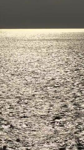The video displays a close-up view of the sea's surface, with the sun's reflection creating a shimmering, textured effect. The water appears to be slightly choppy, with small waves creating ripples that catch the light. The overall tone is serene and natural, evoking a sense of tranquility.

The shot is framed vertically, emphasizing the expanse of the water. In the middle of the frame, around the 00:03 mark, a bird is seen flying low over the water. Its silhouette is stark against the bright surface. The lighting suggests it is either sunrise or sunset, with the sun positioned low on the horizon, casting long shadows and a warm glow on the water.

The setting is clearly a coastal area, with the vastness of the sea dominating the view. While no specific landmarks are visible, the mention of Petrovac na Moru, Montenegro, places this scene along the Adriatic coast, known for its clear waters and beautiful coastlines. The weather appears calm, with the gentle choppiness of the waves indicating a light breeze. The emotion conveyed is one of peaceful observation of nature. There is no visible text in the media file.