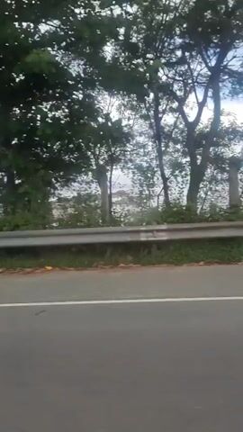 The video shows a side view from a moving vehicle. The road is asphalt with a white line marking the lane. On the right side of the road, there is a concrete barrier with reflective tape, followed by a row of trees. Several orange traffic cones are visible on the side of the road. In the background, there is a body of water and more trees. The sky is overcast.