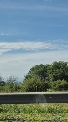 A brief video clip captures a roadside view from a moving vehicle. The scene is dominated by a bright blue sky with scattered white clouds. A line of green trees and vegetation runs horizontally across the middle of the frame, partially obscuring a distant view that might be mountains or hills. In the foreground, a metal guardrail runs across the bottom of the shot, with some green grass and other plants visible below it. The camera appears to be looking out of a window, and there are some smudges on the glass that intermittently appear and disappear. No people or specific actions are visible.