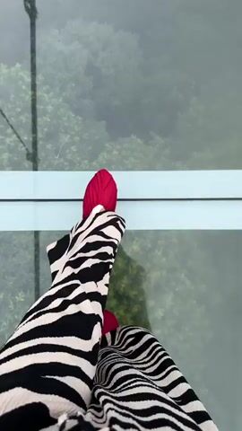 A first-person perspective shot shows a person's legs wearing zebra-striped pants and bright red shoes. The person is sitting on a glass floor, looking down at trees below. The perspective shifts slightly, revealing more of the surrounding environment, which appears to be a modern structure with a glass floor and ceiling. The overall impression is one of being high up, possibly on a scenic overlook or observation deck.