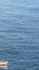 Afternoon boating and sunlight reflections observed on Montenegro waters