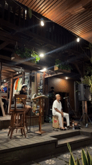 Tropical palm groves and live music performance documented