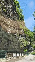 Motorist captures scenic drive through verdant Abkhazian mountain gorge