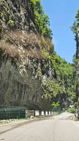 Motorist captures scenic drive through verdant Abkhazian mountain gorge