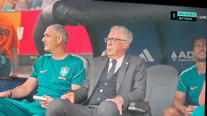 Pitchside and on-screen views from a Brazil soccer match