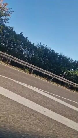 The video shows a view from a moving vehicle. The camera is angled downwards towards the road. In the foreground, there are white stripes painted on the asphalt, likely indicating a pedestrian crossing. Beyond the crossing, the road curves to the right. A metal guardrail runs parallel to the road. On the other side of the guardrail, there is a green, tree-lined embankment against a clear blue sky. The trees are lush and full of leaves. The perspective suggests the vehicle is traveling at a moderate speed, and the overall environment appears to be rural or suburban, with ample greenery and open sky. The lighting indicates it is daytime, likely morning or afternoon due to the bright sunlight.