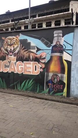 The video pans across a graffiti-covered wall. The first section features a mural of a tiger with the words "LIVE UNCAGED" painted in large letters. To the right of the tiger is an illustration of two stacked cans of Tiger beer. The second section of the wall depicts a colorful mural of a person's profile, surrounded by tropical leaves and illustrations of Star Radler beer cans, one labeled "CITRUS" and another "RED FRUITS." The final section of the wall has text graffiti, including "WE LOVE BEER!", "WA MAN YOU BE", "AMAZING NB", and "GULDER THE ULTIMATE". The wall is situated next to a paved walkway and in front of a building with barbed wire on top. The overall scene appears to be an outdoor urban environment.