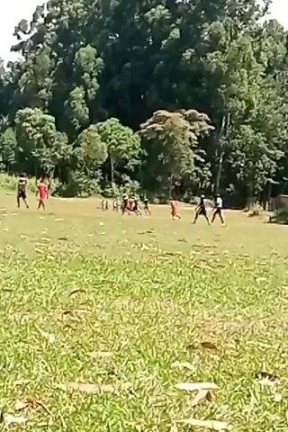 The video shows a soccer field with a group of people lined up on the far end. Some are wearing red uniforms, while others are wearing blue or black. There is a yellow flag planted in the field and a soccer net visible. The field is grassy, with some bare patches and leaves. Trees surround the perimeter of the field. It appears to be a soccer game or practice. The camera is positioned close to the ground, capturing a wide view of the field.