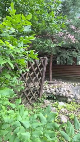 This media file captures a scenic view of a rustic log cabin nestled amongst lush greenery. The cabin, constructed from horizontal wooden logs, features a prominent red tiled roof. Large windows are visible, reflecting the surrounding trees and sky. In front of the cabin, a dry, decorative pond area is bordered by stones. A wooden lattice fence stands to the left, partially obscured by vibrant green leaves. The ground is covered in grass and various stones. Tall trees and dense foliage form a natural backdrop, with a metal fence visible in the distance. The overall setting suggests a tranquil, outdoor environment, possibly a garden or park area. The time of day appears to be daytime, with natural light illuminating the scene. The weather seems overcast or hazy, as indicated by the soft lighting and absence of harsh shadows. The location context of Novy Gorodok, Russia, suggests a possibly rural or suburban setting. No people are visible, and no text is present in the media.