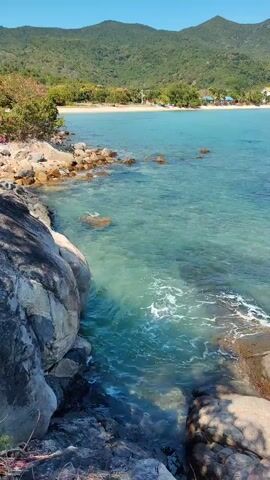 The video showcases a picturesque coastal scene with calm, clear turquoise waters meeting a rocky shoreline. Large boulders dominate the foreground, while smaller rocks and vegetation line the edge where the water gently laps. In the distance, a sandy beach stretches along the coast, backed by lush green hills under a clear blue sky. The scene is peaceful, with the focus on the natural beauty of the coastline.