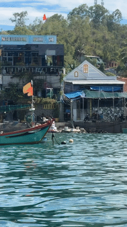 Boat tour captures serene Nha Trang fishing harbor scene