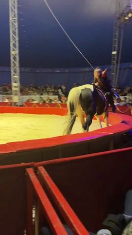 The video depicts a circus performance. A horse with a rider is in a ring with a female trainer. The ring is red around the edges and filled with sand. An audience surrounds the ring, and the tent is dark blue. A young boy watches the performance. Two white towers are on opposite sides of the ring. The rider waves to the audience as the horse circles around.