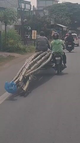 Two people are riding on a motorcycle. The motorcycle is pulling a trailer loaded with a large bundle of bamboo poles. The person in the front is driving the motorcycle. The person in the back is sitting behind the driver. They are both wearing helmets. The bamboo poles are long and thick and are tied together with rope. The front of the bundle is covered with a blue plastic bag. The motorcycle and trailer are on a paved road. There are buildings and trees in the background. There are other vehicles on the road. The weather appears to be sunny.