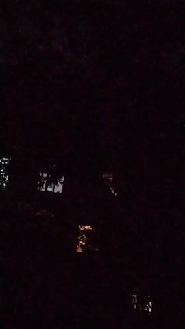 The video captures a dark, nighttime scene. Silhouettes of trees obscure the view of what appears to be a building with lit windows. The lights within the windows suggest interior illumination, possibly from a home or other structure. The overall atmosphere is quiet and somber, typical of a late-night environment.