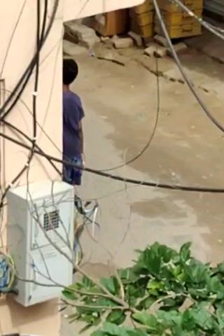 The video shows a street scene with buildings, electrical wires, and some vegetation. In the foreground, there is a beige electrical box attached to a building wall, with several wires connected to it. There are also some green leaves and branches visible at the bottom of the frame. The background shows a street, a metal shutter, and a balcony with laundry hanging on it. There are also some yellow crates stacked near a building. A person can be seen through an open doorway in the upper right portion of the frame.