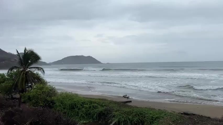 The video shows a cloudy beach scene. There are waves crashing on the shore, and a palm tree and lush green bushes are visible in the foreground. In the distance, a large hill or mountain can be seen. The sky is overcast with heavy clouds. There is a small amount of debris on the beach, including what appears to be a piece of driftwood.