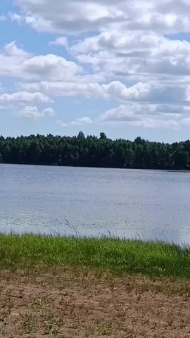 The video shows a body of water, likely a lake, with a forest in the background. The sky is blue with scattered white clouds. In the foreground, there is a patch of dry ground with some green grass growing. The water has lily pads floating on it in several areas. A blue floating dock with railings is partially visible on the right side of the frame, extending into the water. The video is static with no movement or people visible.