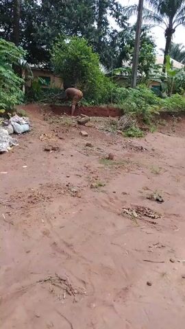 A person is digging into a dirt bank. The individual, clad in shorts, is using a tool that is not clearly visible to excavate the soil. The ground in the foreground is a mix of dirt, rocks, and sparse vegetation. To the left, there are some white bags and debris. The background includes a building partially obscured by trees. The setting appears to be a rural or semi-rural area. The video captures a moment of manual labor in an outdoor environment.