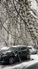 Heavy snowfall covers parked cars on Moscow street