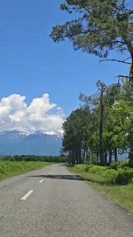 The video captures a scenic view from a vehicle traveling on a two-lane asphalt road. White dashed lane markings are visible on the road surface. To the right, a dense line of tall, dark green coniferous trees, possibly pines, borders the road, casting prominent shadows. Further right, lighter green deciduous trees are also visible. On the left, lush green vegetation, appearing as fields or low-lying shrubs, stretches towards the horizon.

In the distance, a majestic mountain range dominates the skyline, with several peaks distinctly covered in snow, suggesting a high altitude or a colder season at elevation. Above these mountains, fluffy white clouds are clustered, contrasting with the otherwise clear, vibrant blue sky that fills the upper portion of the frame.

The day is bright and sunny, indicated by the strong light and well-defined shadows. The steady, forward-moving perspective suggests a smooth and pleasant drive through a picturesque landscape. No people or visible text are present in the frame. The scene is located in Akwaskia tshyts, Abkhazia.