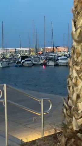 The video opens with a view of a marina at dusk. A boardwalk with metal railings is in the foreground, and beyond that, a body of water is filled with numerous sailboats and other vessels moored together. In the distance, a large building complex with illuminated windows is visible. The sky is a deep blue, indicating twilight. The camera pans slightly to the right, revealing a person standing on the boardwalk, facing away from the camera and towards the water. The person is wearing dark pants and a white shirt. Another person is visible on one of the boats, appearing to be interacting with another individual or object. The water reflects the lights from the building and from the boats, creating a serene atmosphere. The camera then zooms in slightly on the boats, focusing on the activity on one of them where two individuals can be seen. A palm tree frond enters the frame briefly on the left side as the camera continues its slow movement. The video ends with a close-up of the boats in the marina.