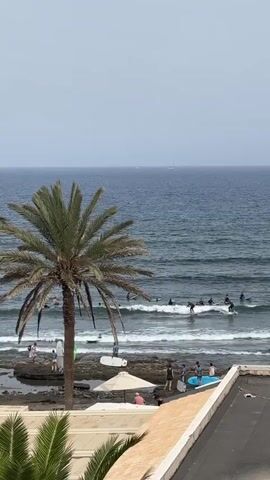 A vertical, handheld shot shows a beach scene with a palm tree in the foreground. The ocean is blue with moderate waves and a clear sky. Several surfers are in the water, some riding waves and others paddling. On the shore, a group of people are gathered near the water's edge with surfboards. Rocks are visible along the coastline, and a rooftop with a black surface and a white edge is in the lower right corner of the frame.