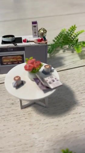 Stavropol resident documents sushi meal and miniature kitchen diorama