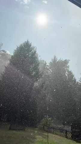 The video shows a close-up, low-angle view of a window with water droplets on it, looking out at a sunny sky and trees. The sun is shining brightly, creating lens flare. There are many small water droplets on the glass, obscuring the view of the trees and sky to some extent. Some of the droplets are actively dripping down the glass. The trees appear to be evergreens and deciduous trees. There is a hint of a fence and some grass in the lower portion of the frame. The overall impression is of a brief rain shower occurring on a sunny day, viewed from indoors.