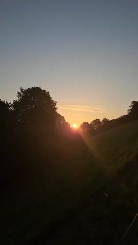 The video shows a sunset over a grassy hill. The sun is low on the horizon, casting a warm glow over the landscape. Silhouetted trees frame the scene on either side. The sky is a clear blue, with a few wispy clouds. The overall impression is one of peace and tranquility.